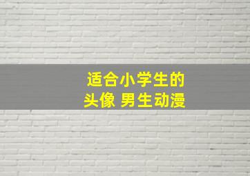 适合小学生的头像 男生动漫